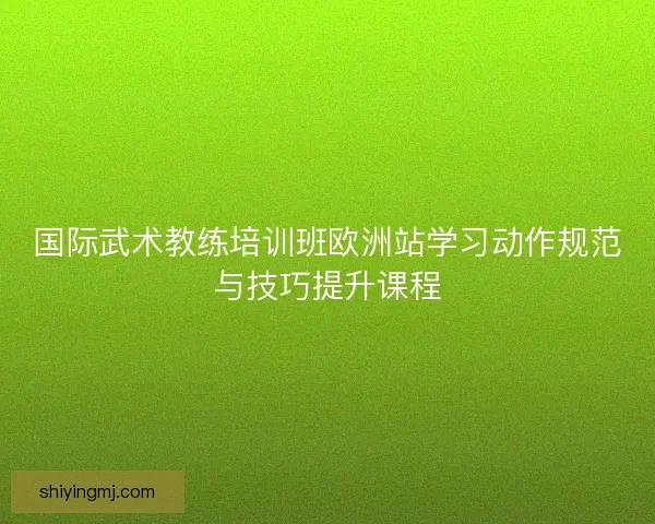国际武术教练培训班欧洲站学习动作规范与技巧提升课程